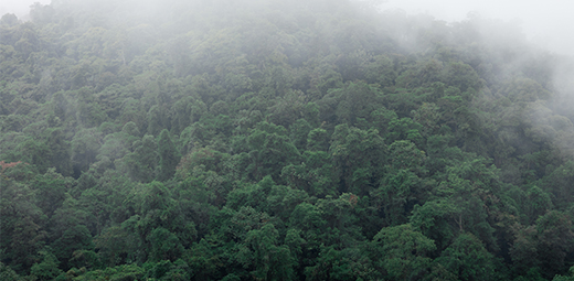 Viajando por Costa Rica