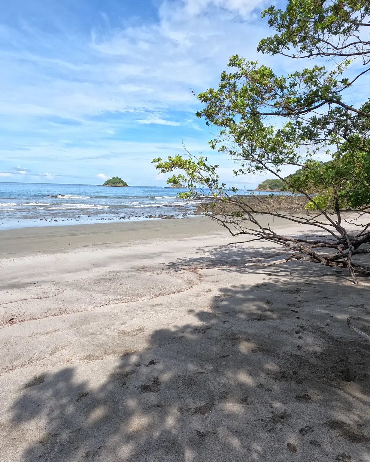 Guanacaste