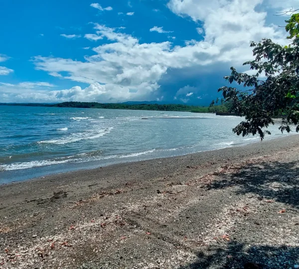 Playa Blanca de Puerto Jiménez