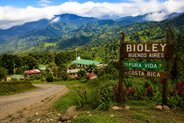 qué hacer en Bioley