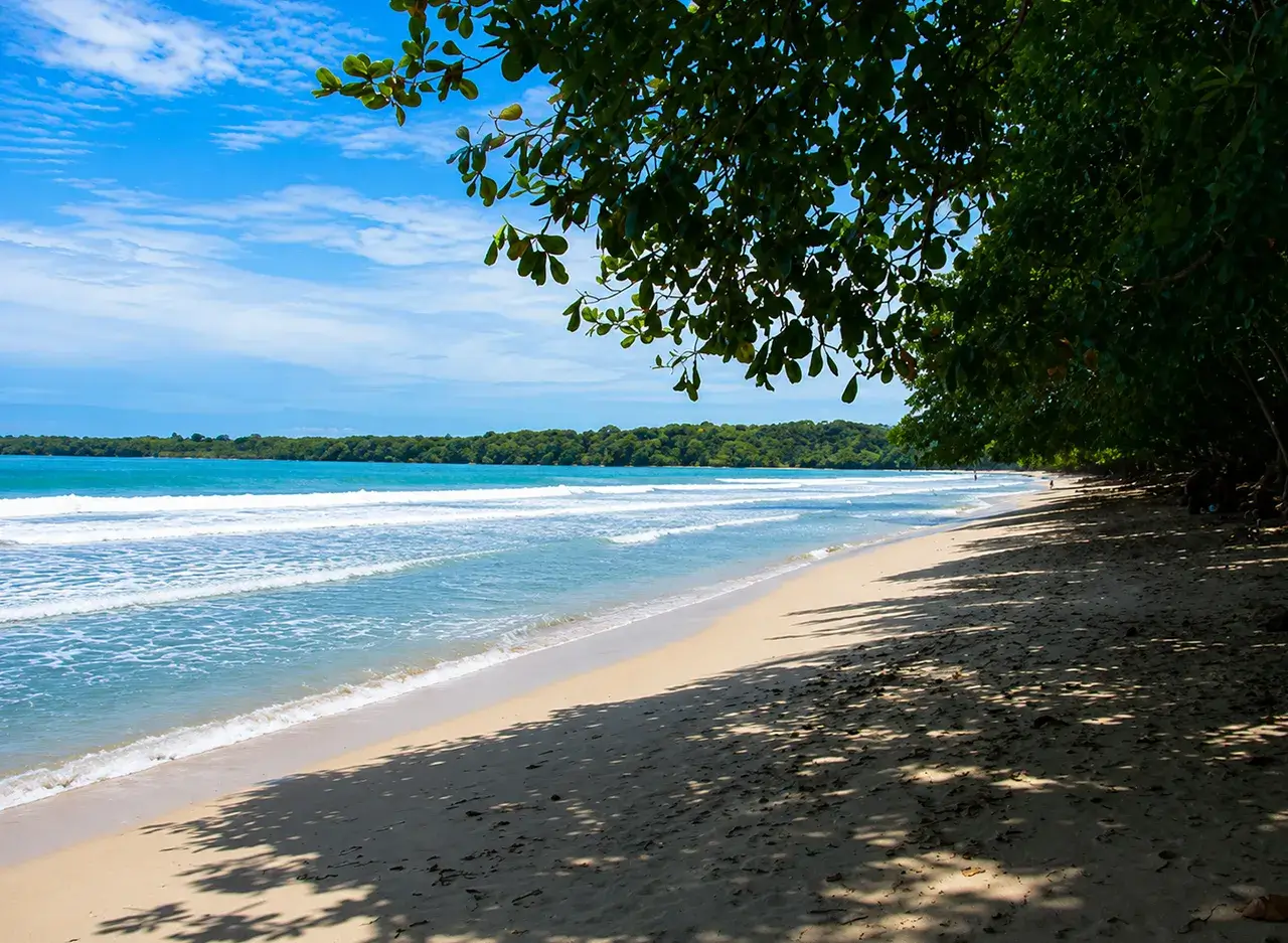 qué hacer en Cahuita
