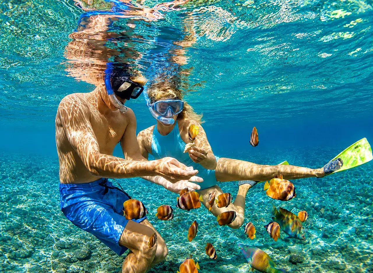 qué hacer en Cahuita