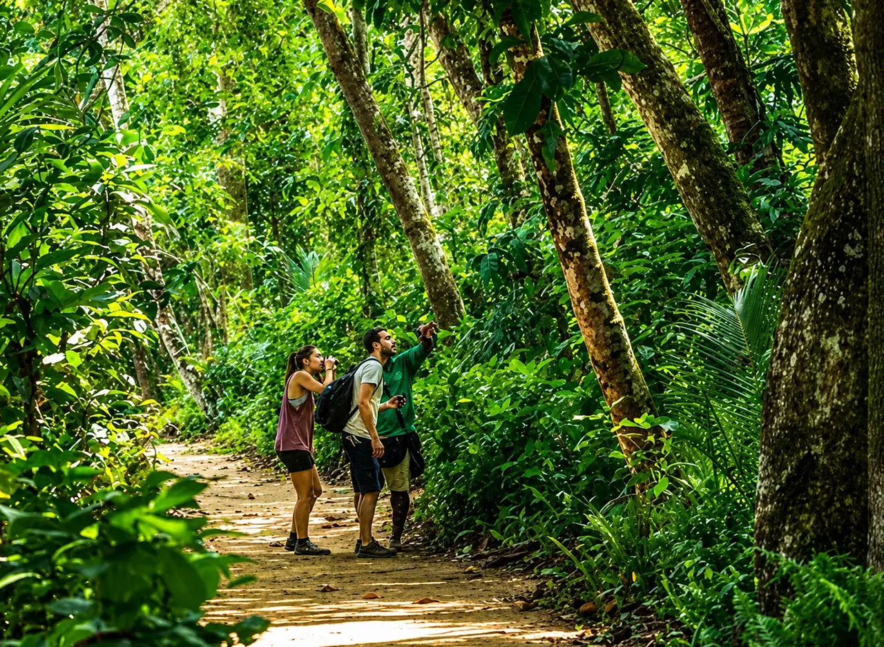 qué hacer en Cahuita