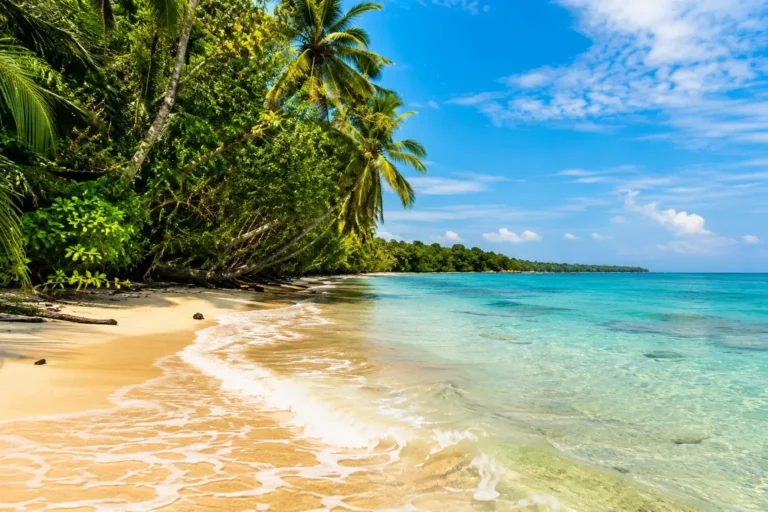qué hacer en Cahuita