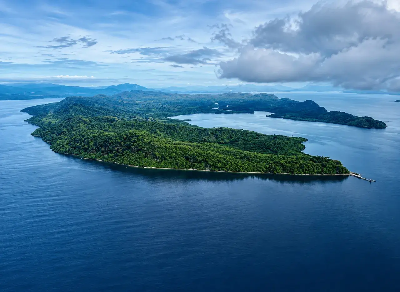 qué hacer en Golfo de Nicoya