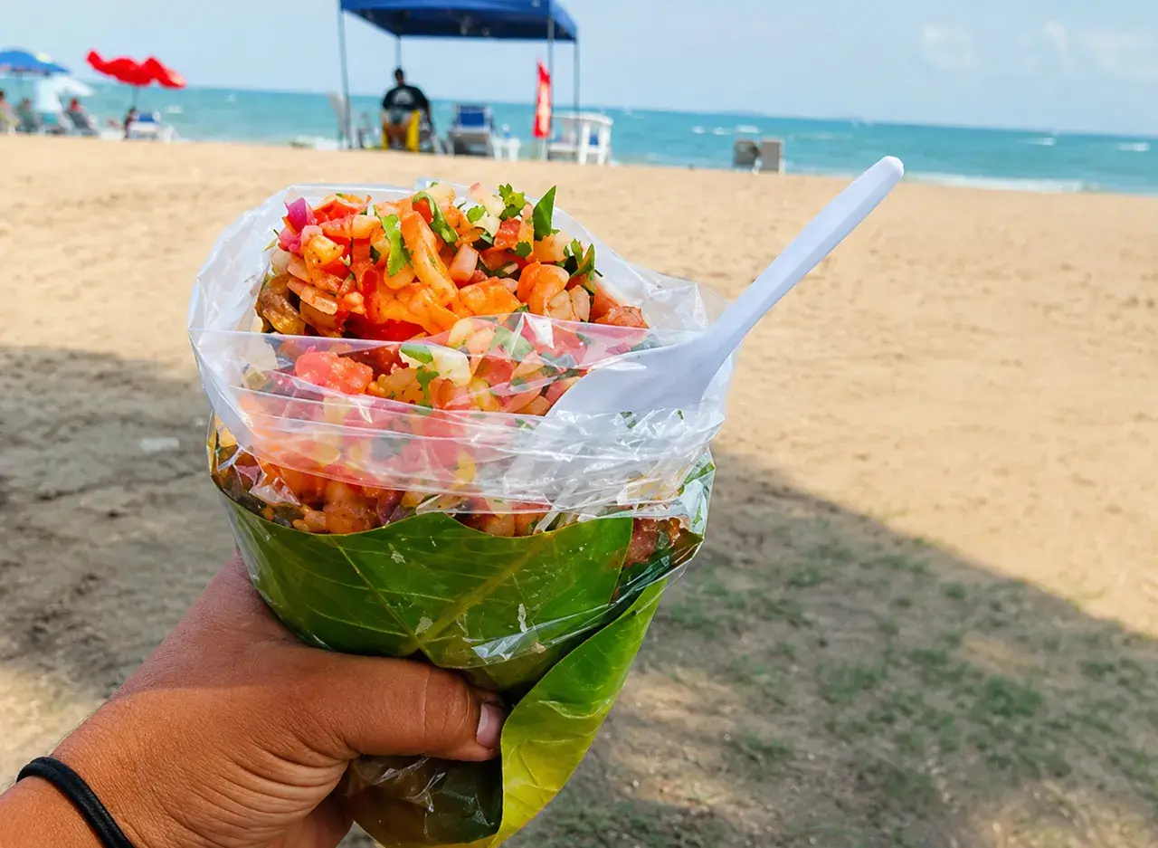 qué hacer en Golfo de Nicoya