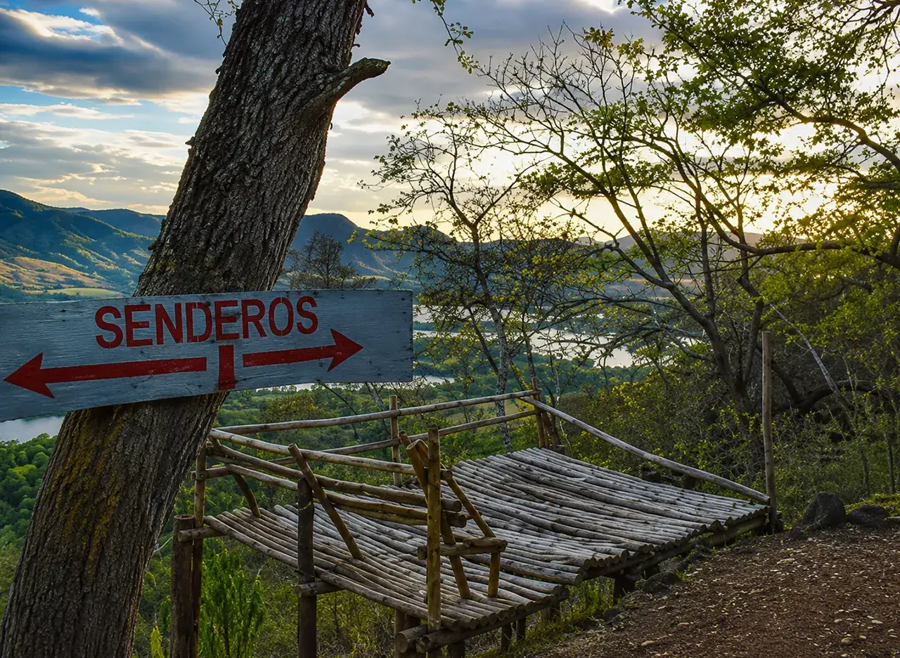 qué hacer en Isla Venado