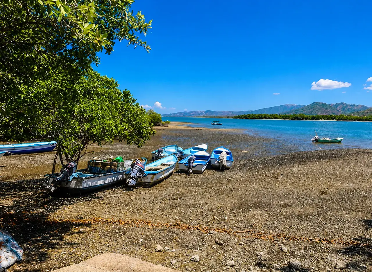 qué hacer en Isla Venado