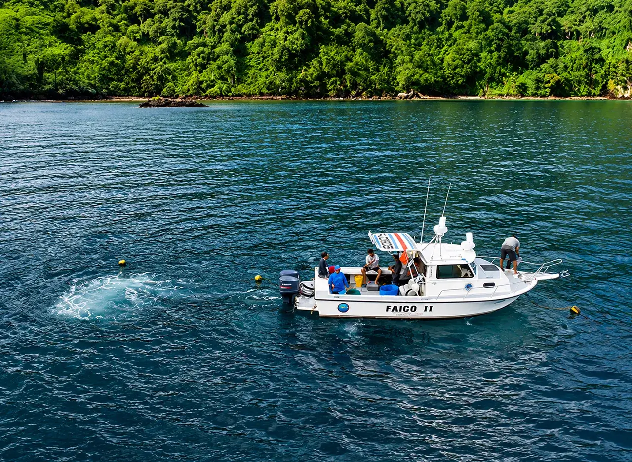 qué hacer en Isla del Coco