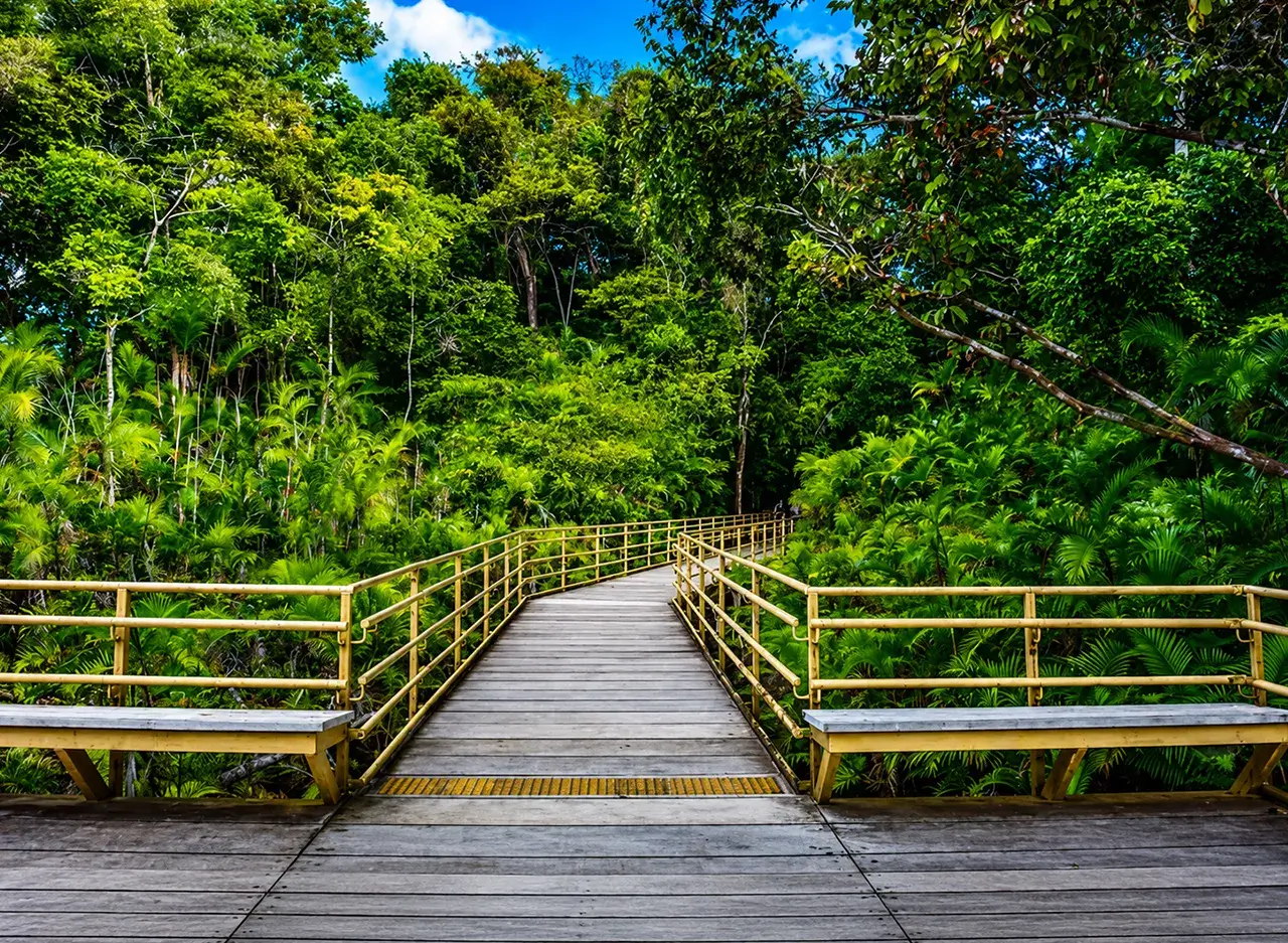 qué hacer en Manuel Antonio