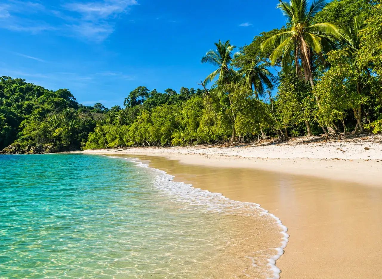 qué hacer en Manuel Antonio