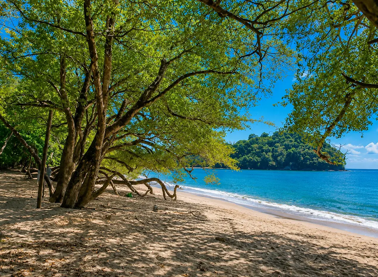 qué hacer en Manuel Antonio