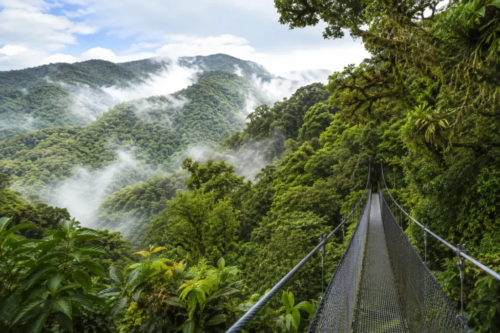 Qué hacer en Monteverde