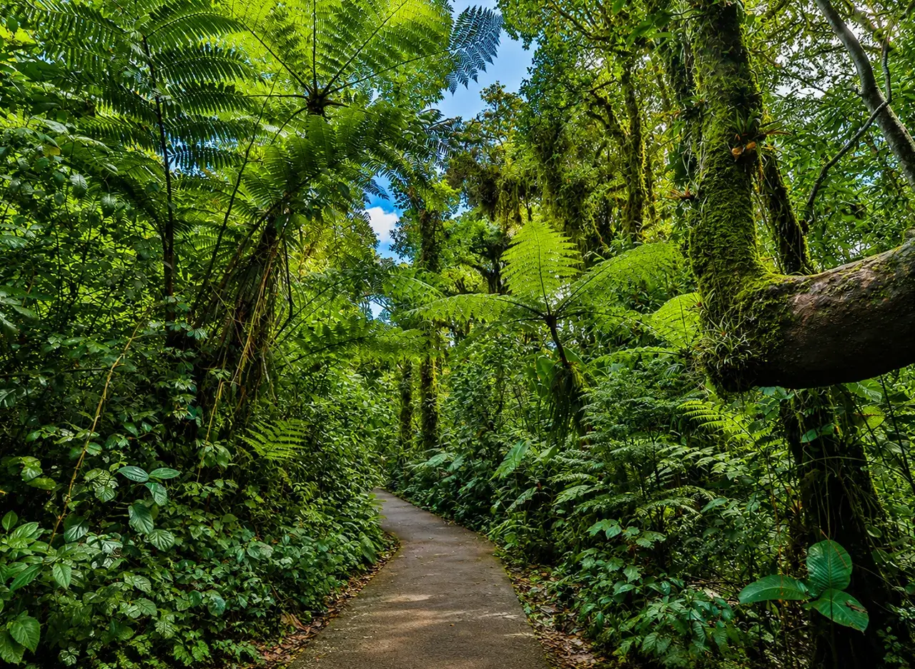 qué hacer en Monteverde