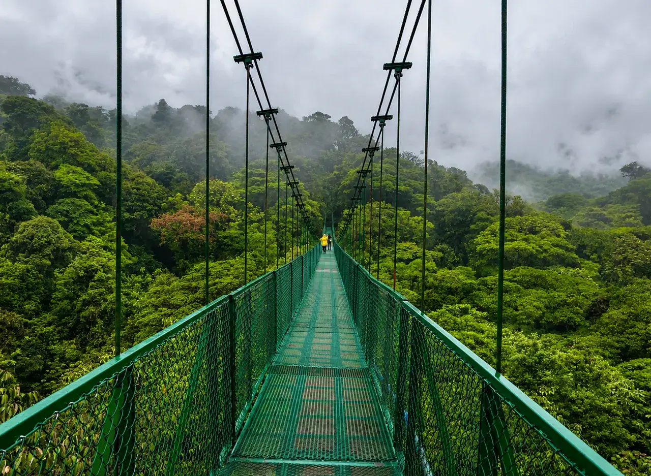 qué hacer en Monteverde