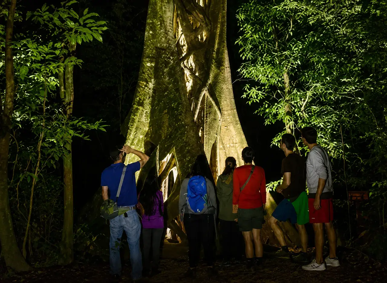 qué hacer en Monteverde