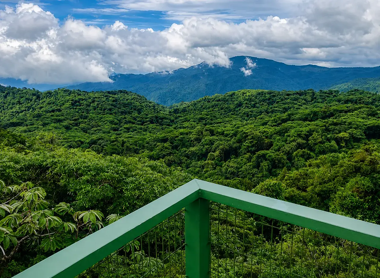 qué hacer en Monteverde