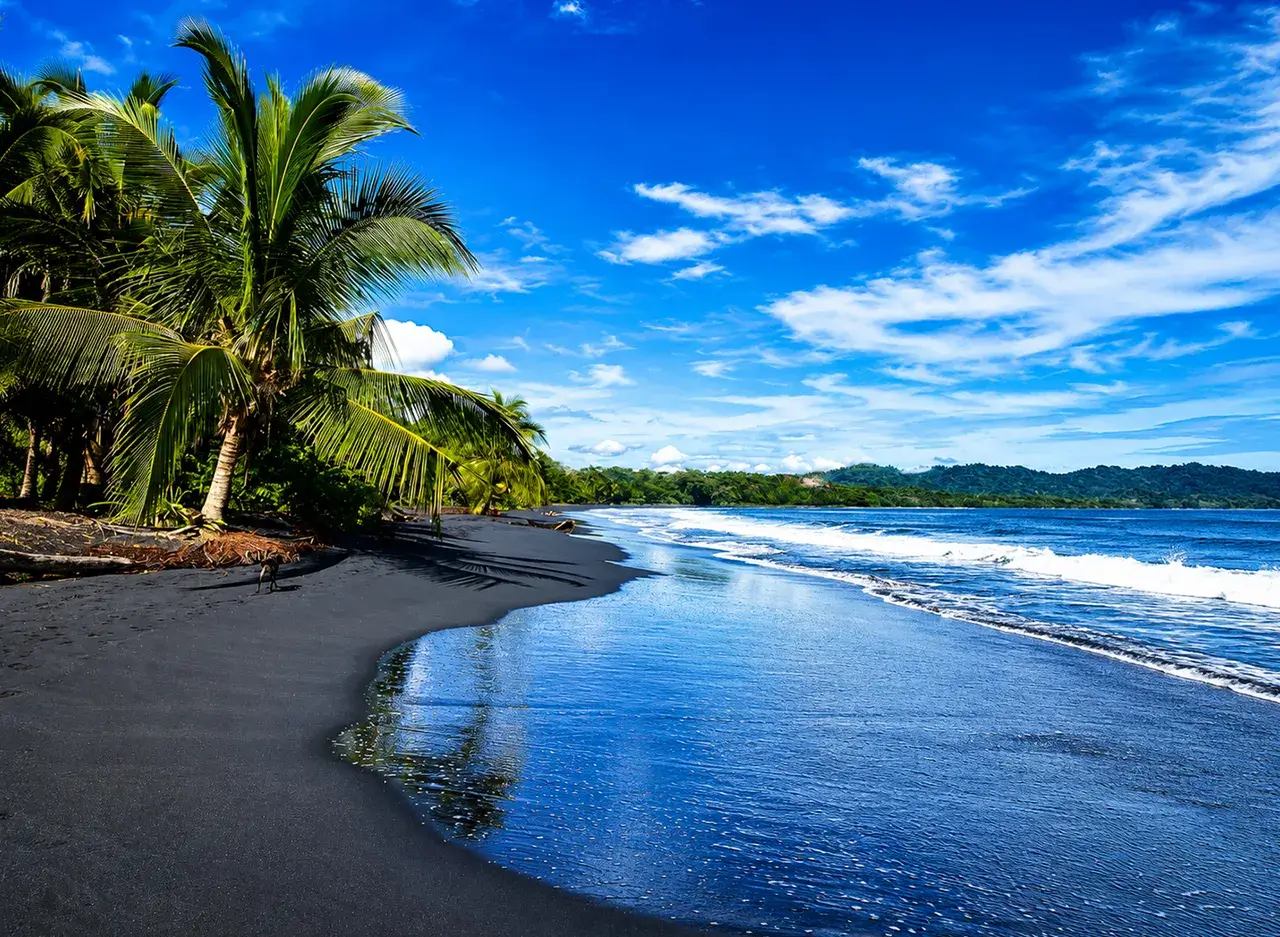 qué hacer en Playa Avellanas