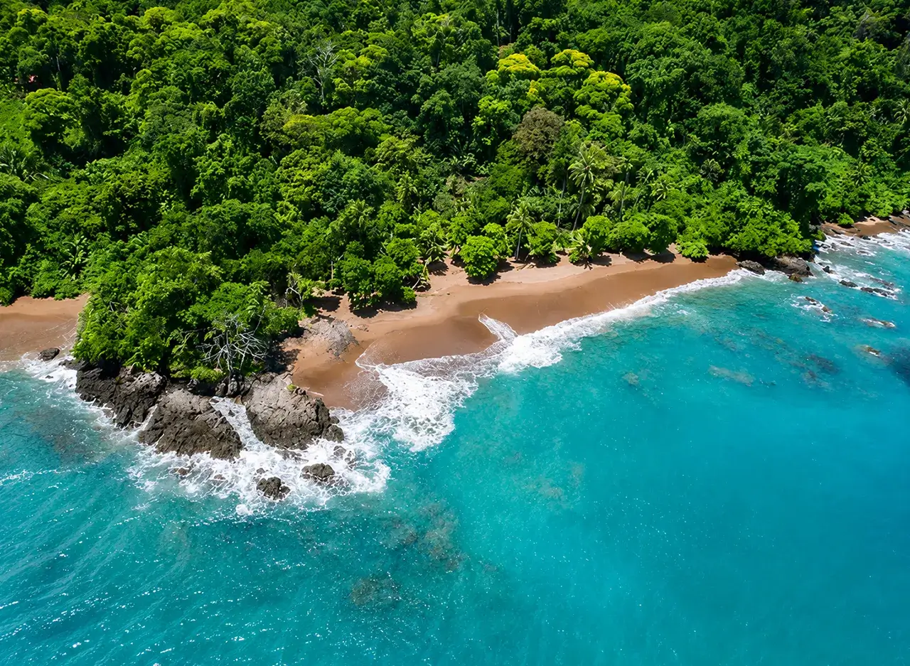 qué hacer en Puerto Jiménez