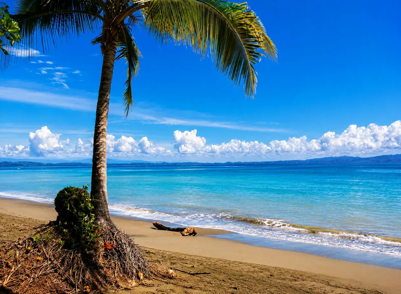 qué hacer en Puerto Jiménez