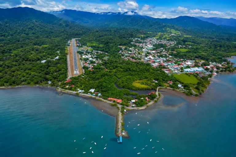 qué hacer en Puerto Jiménez