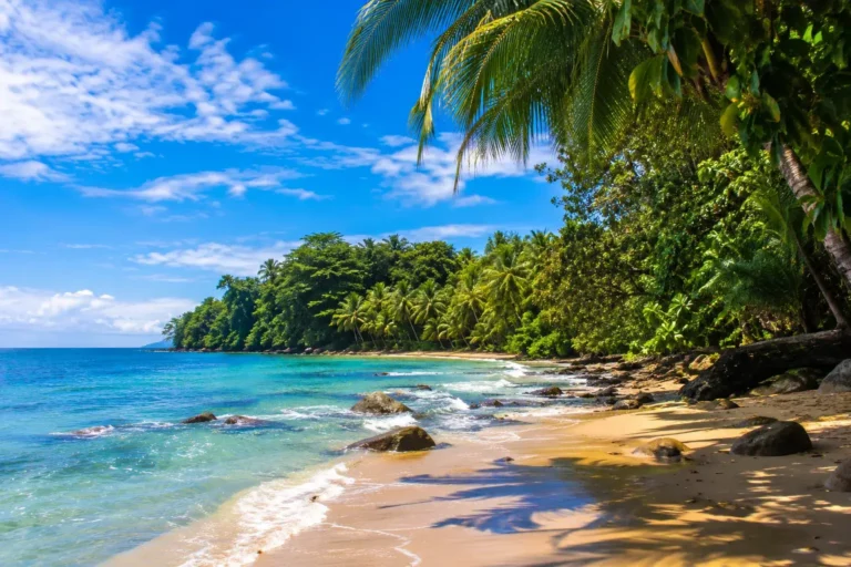 qué hacer en Puerto Viejo de Limón