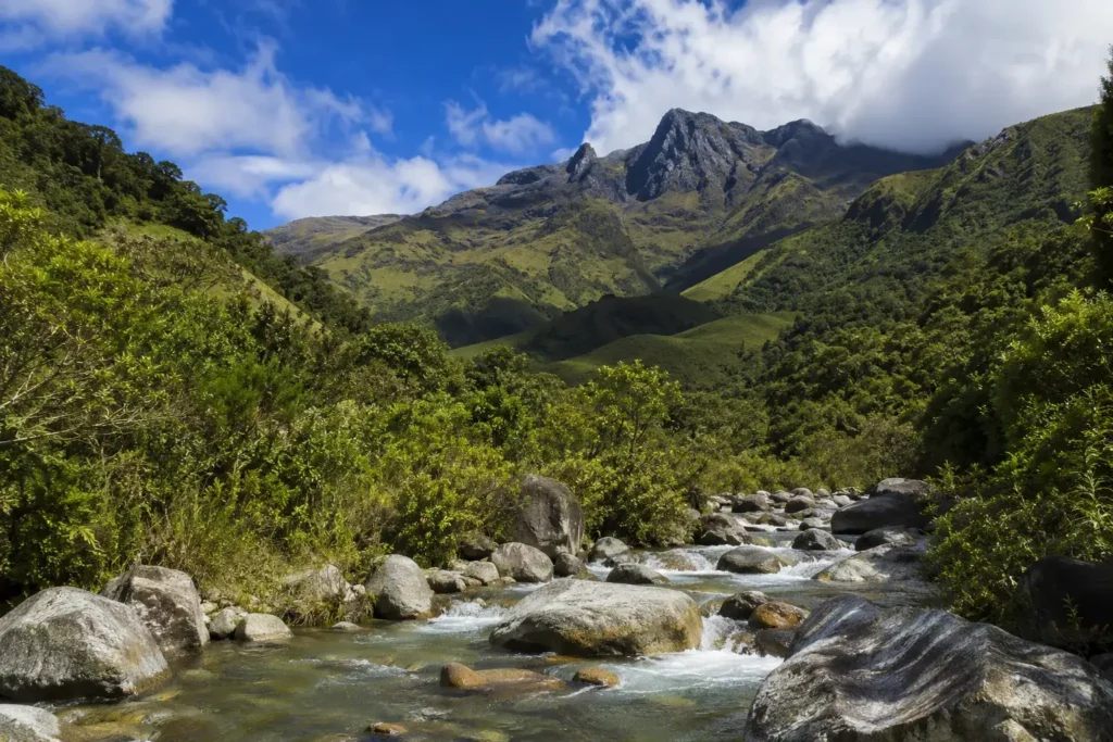 Qué hacer en San Gerardo de Rivas