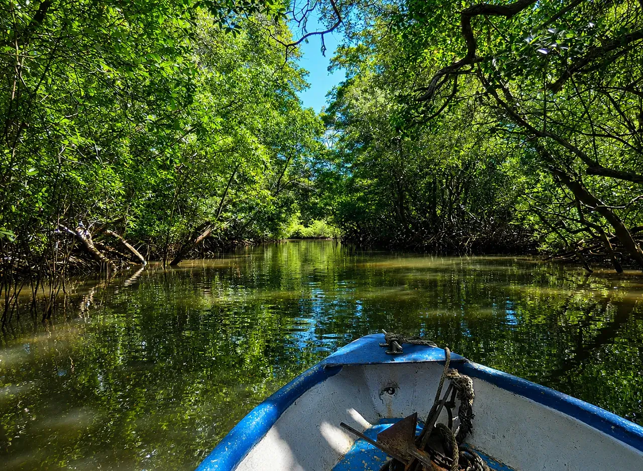 qué hacer en Tamarindo
