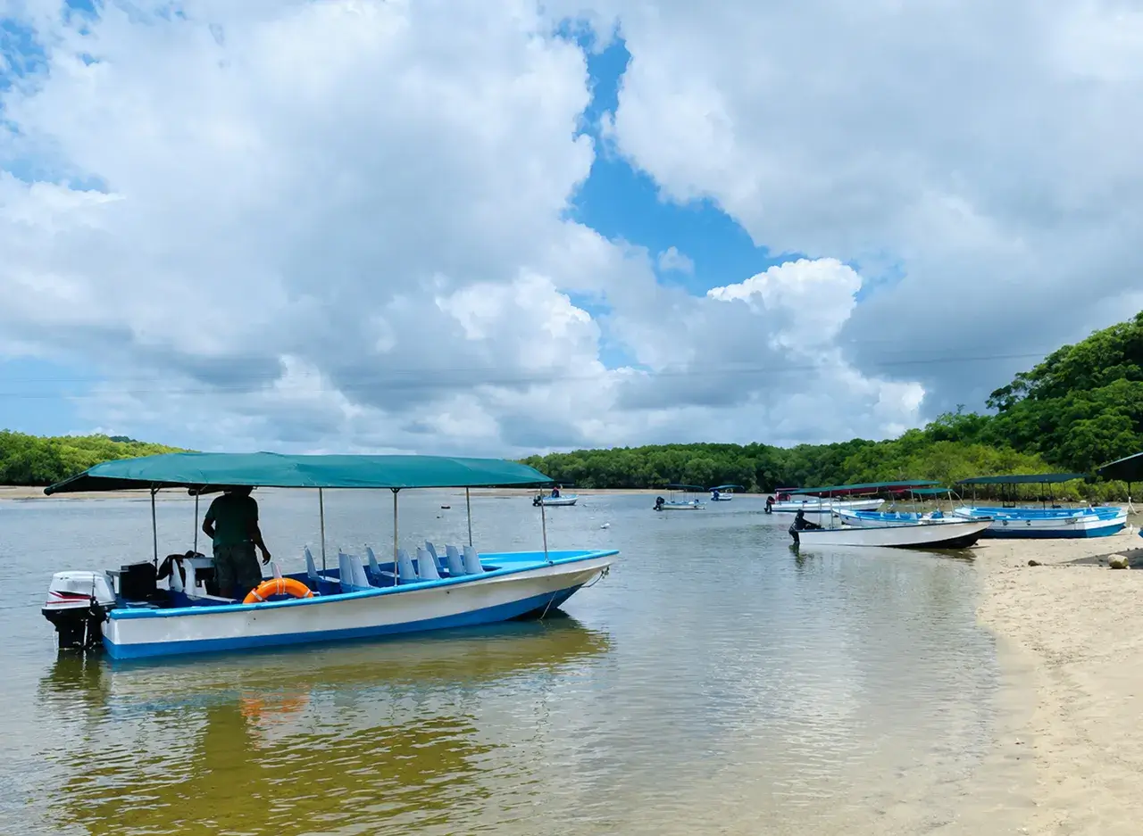 qué hacer en Tamarindo