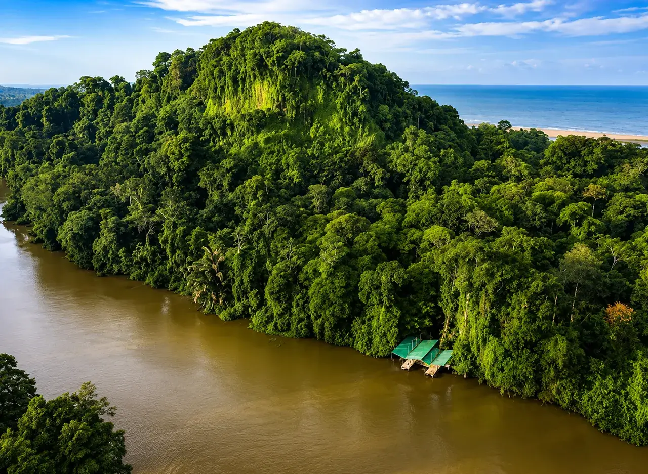 qué hacer en Tortuguero