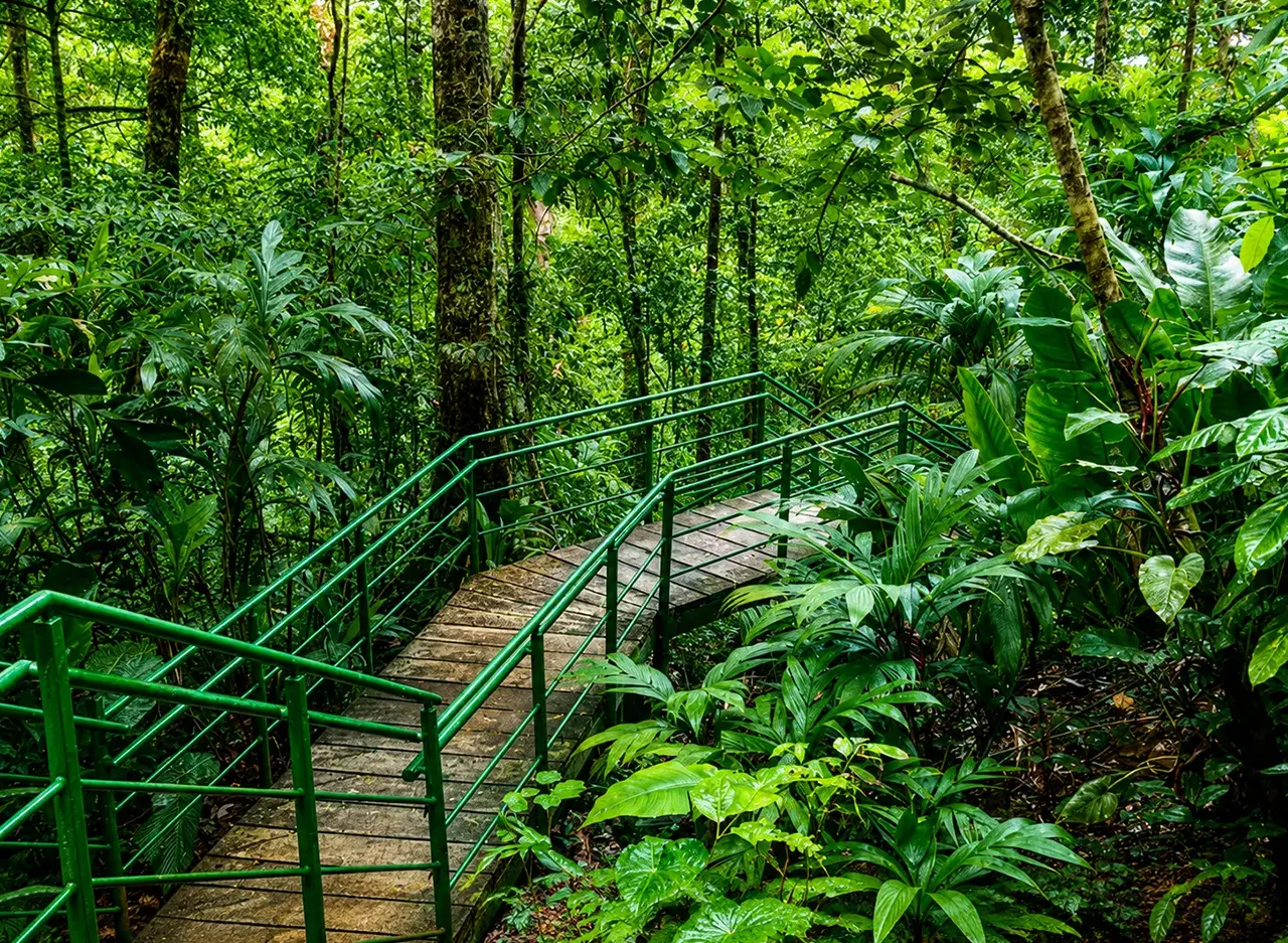 qué hacer en Tortuguero